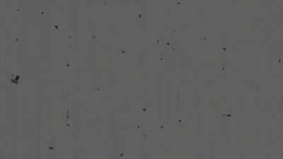 Wild Blowbang Adventure: Sucking Off the Creeps!