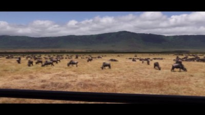Steamy Tent Action in the Savannah: Episode 29 Adventure