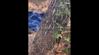 Shocking Voyeur Stepmoment: Horny Tourist Caught in Public