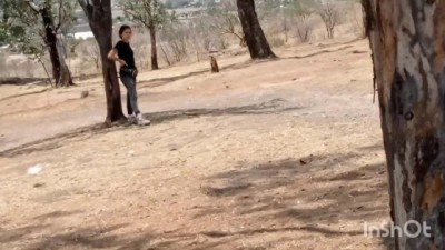 Chica En El Bosque Public