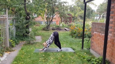 Morning Stretching | Dariana Fit